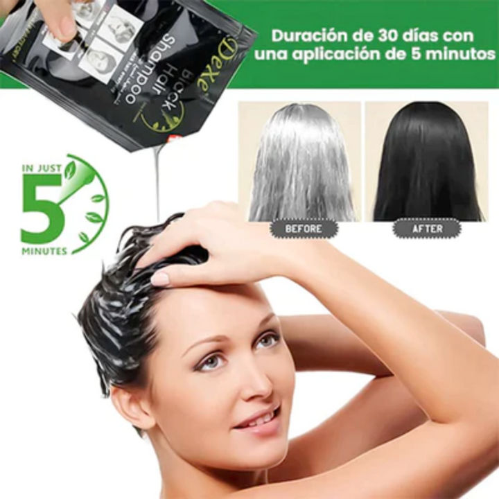 BlackHair® - Shampoo Pinta Canas Negro| PACK por 10 Unidades